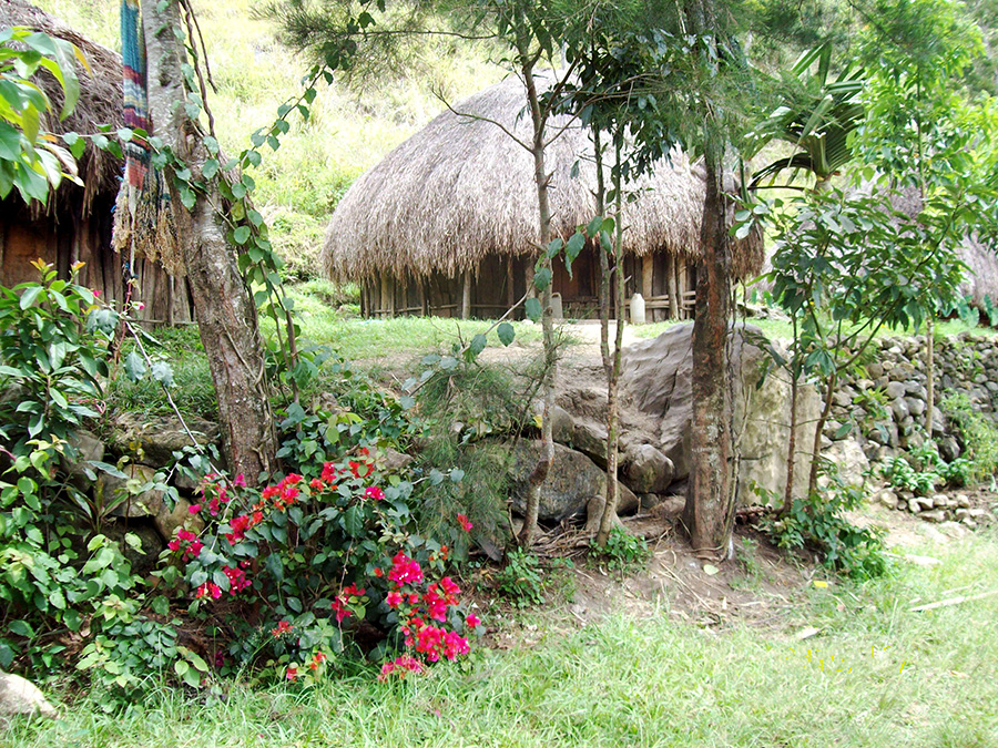 Hut in the village of Baliem Valley