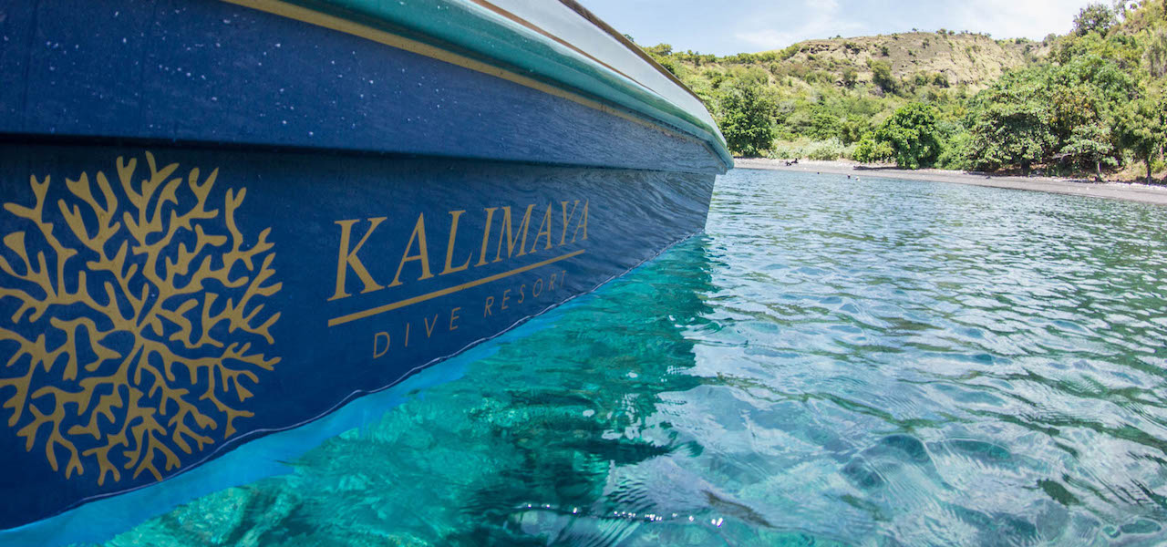 A boat ride away from the treasures of the Komodo National Park