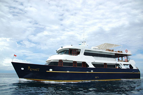 Memaid I Liveaboard diving trips in Indonesia