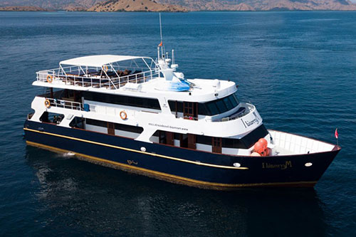 Memaid II Liveaboard diving trips in Indonesia