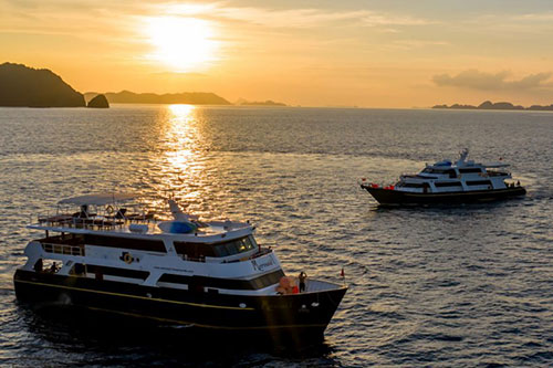 Memaid Liveaboard diving trips in Indonesia