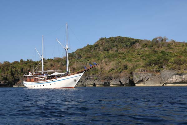 Samambaia charter cruises in Forgotten Islands Indonesia
