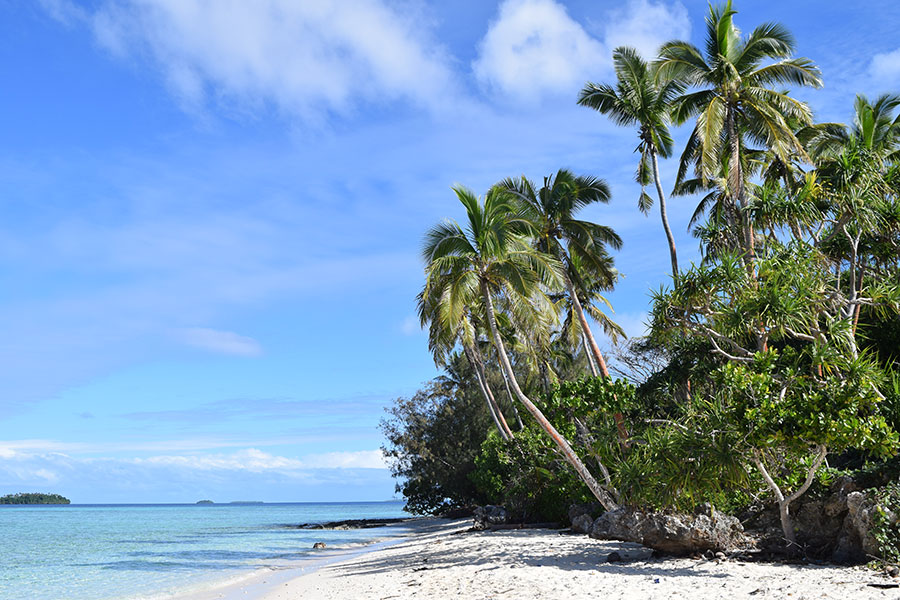 Palm beach in Tonga